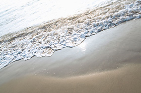 引潮のタイミングを見計らって砂浜を散歩